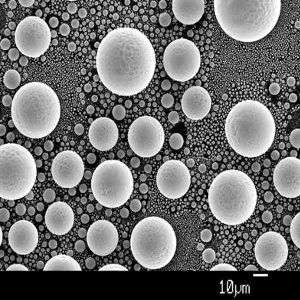 Muestra para calibración microscopio SEM de estaño sobre carbono